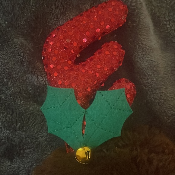 BNWT large dog reindeer costume bought at PetSmart.  Super soft, w/ jingle bell. - Picture 11 of 16